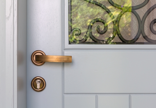 דלת כנף אחת צביעה אטומה  דגם 110