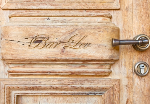 דלת כנף אחת כפרית דגם 105