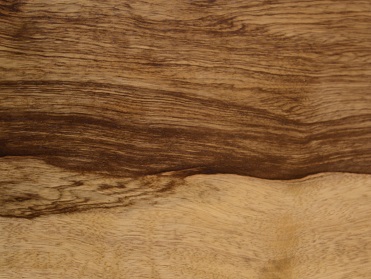 אגוז אפריקאי