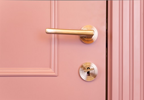 דלת פנים קרניז והלבשות מסוגננות-דגם 705